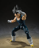 VEGETA Action figure
