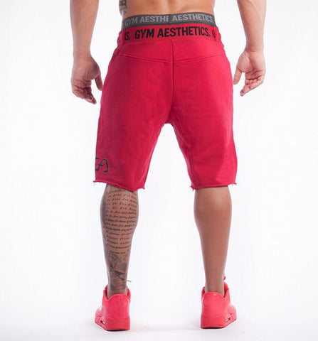 Shorts - GYM AESTHETICS - Gym Heroics Apparel
