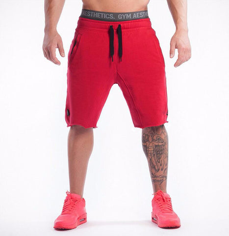 Shorts - GYM AESTHETICS - Gym Heroics Apparel