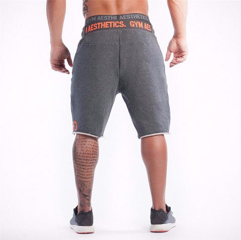 Shorts - GYM AESTHETICS - Gym Heroics Apparel